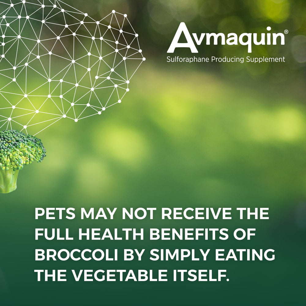 Nutramax Avmaquin label closeup with ingredient notes