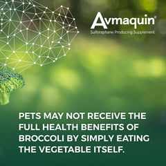 Nutramax Avmaquin label closeup with ingredient notes