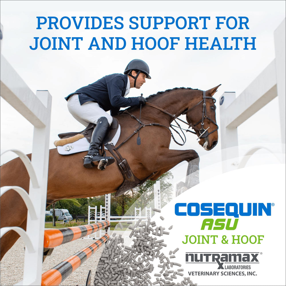 Nutramax Cosequin ASU pellets being dispensed for easy dosing.