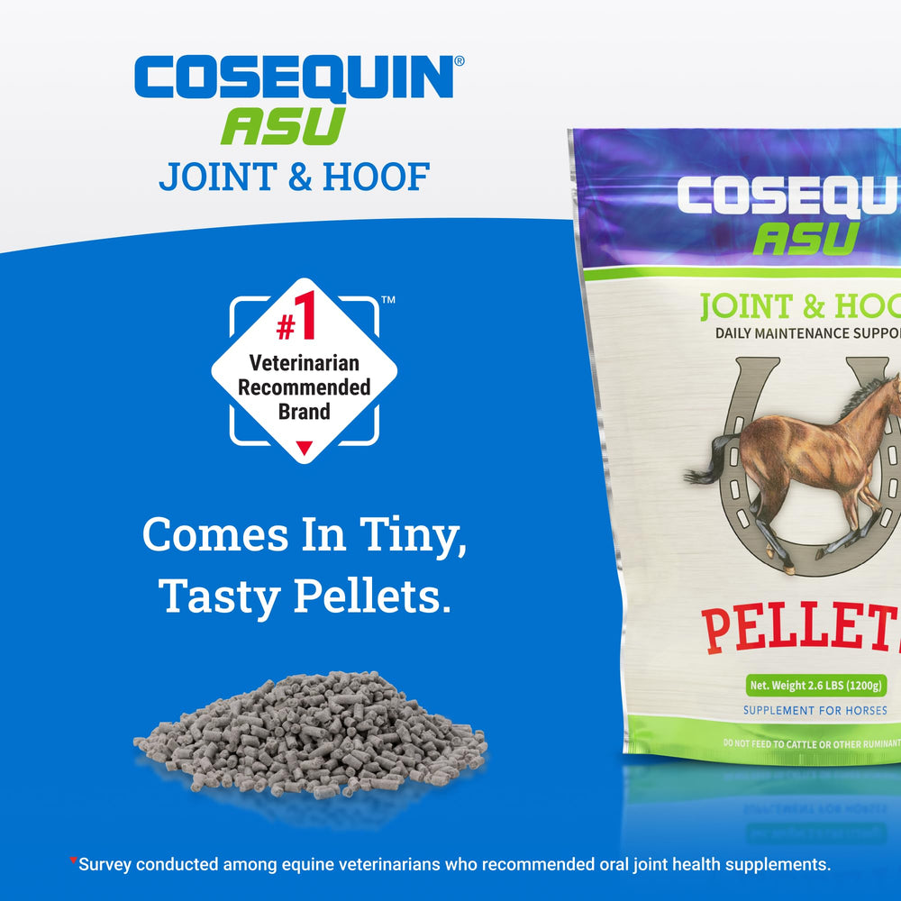 Nutramax Cosequin ASU pellets served in a bowl for horses.