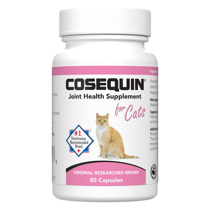 Nutramax Cosequin cat capsules for joint health and mobility in felines.