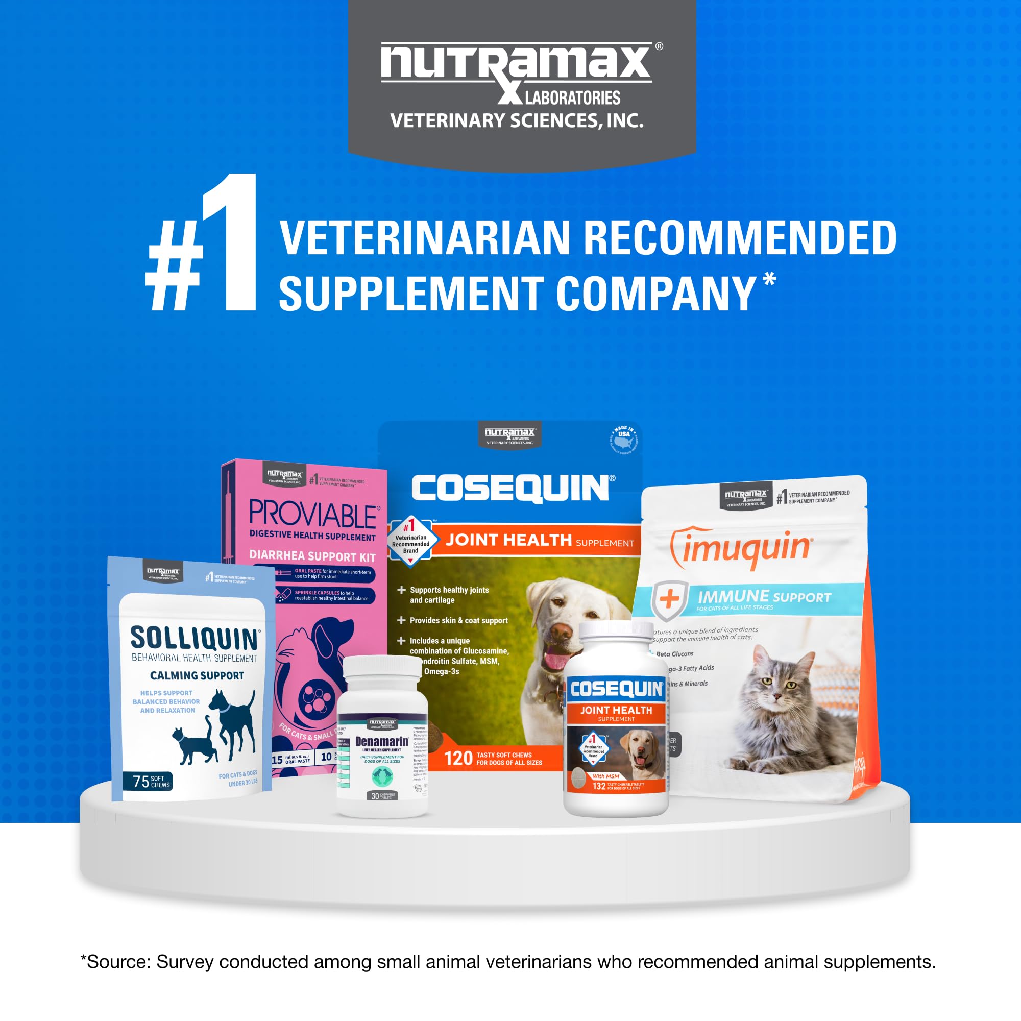 Nutramax Cosequin joint health product image suggesting overall wellness