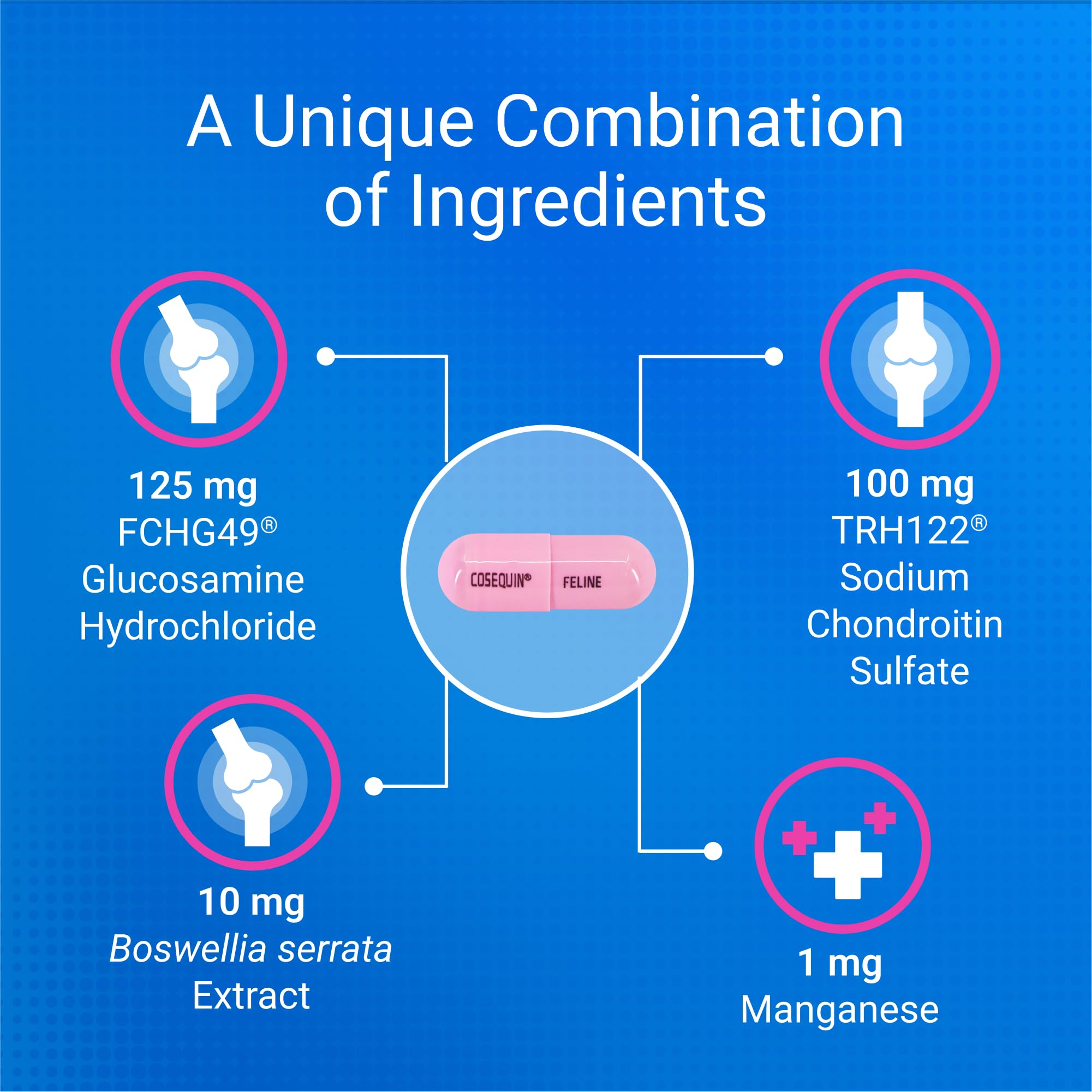 Nutramax Cosequin label highlights United States manufacturing and quality checks