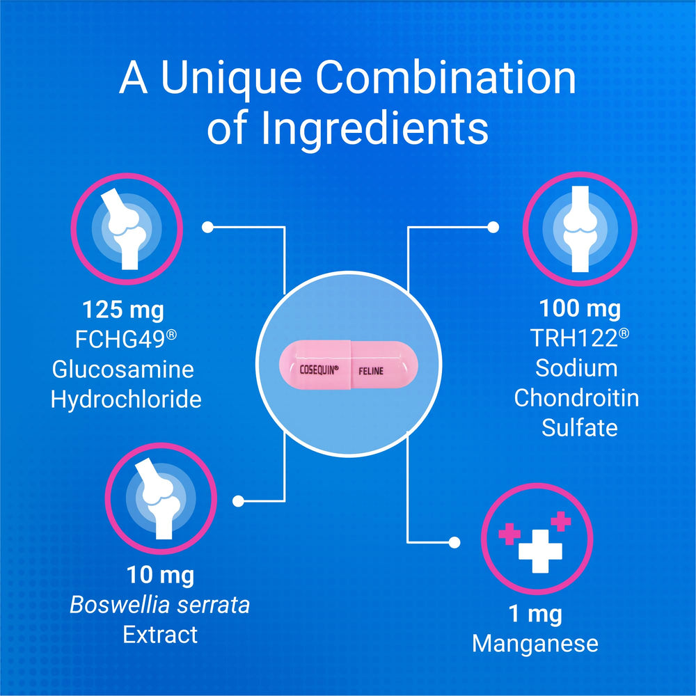 Nutramax Cosequin label highlights United States manufacturing and quality checks