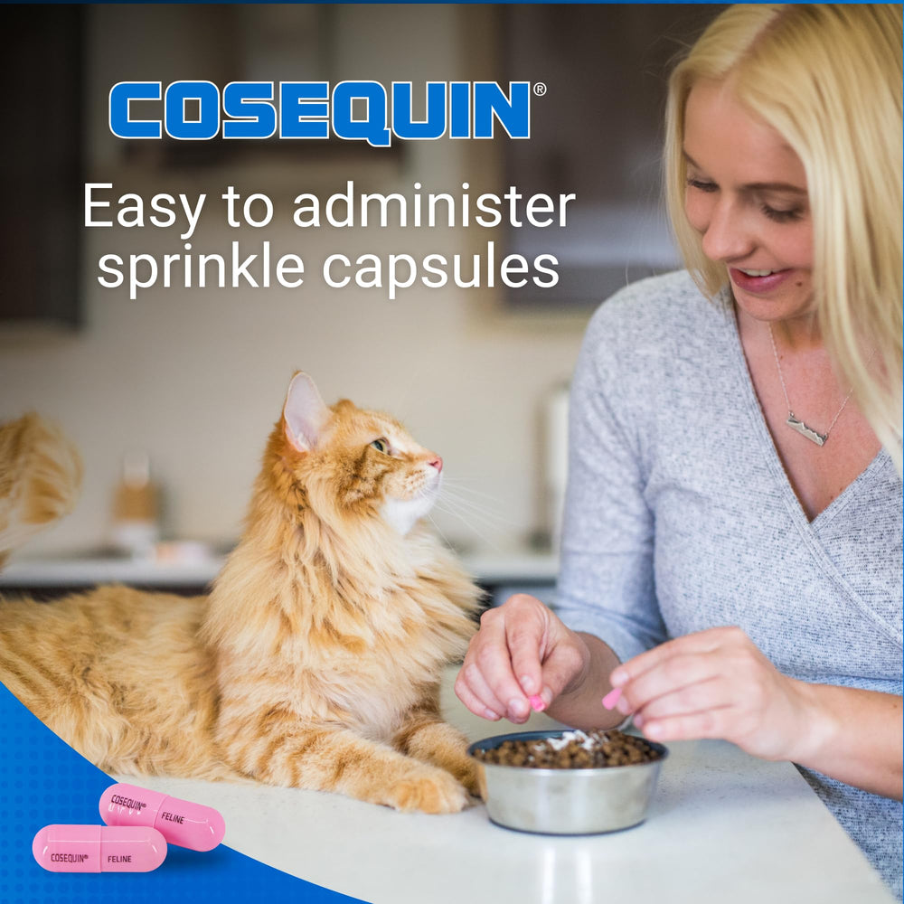 Nutramax Cosequin sprinkle-on capsules on food for easy dosing