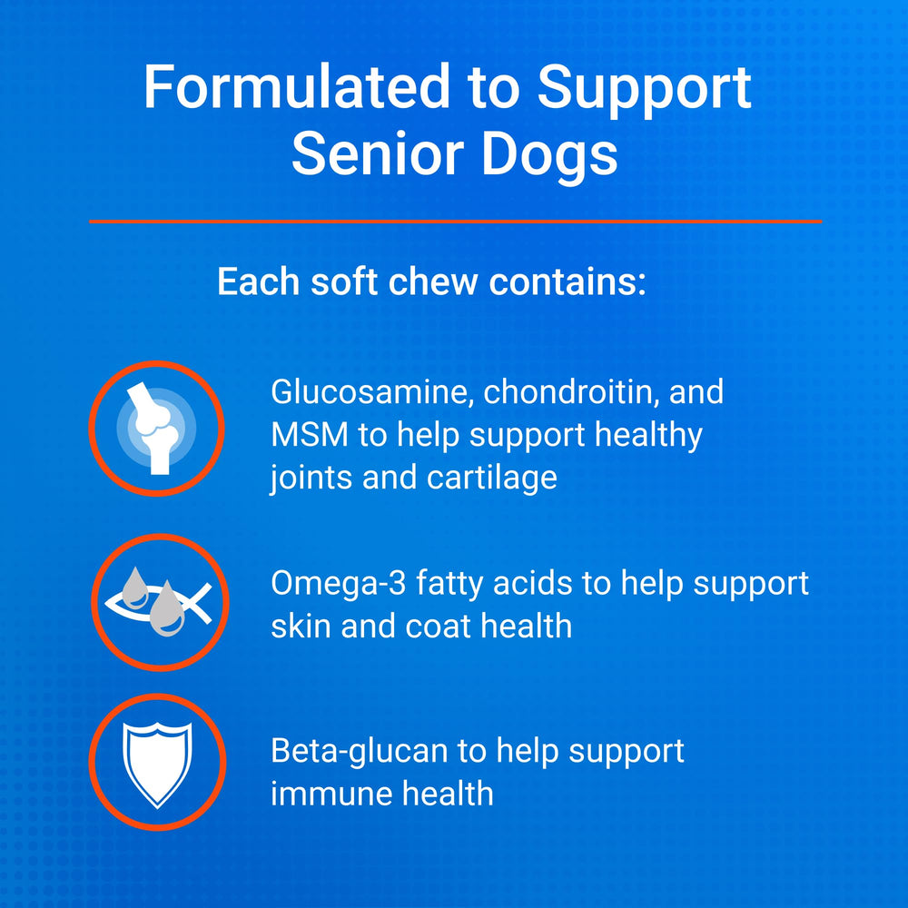 Daily-use Nutramax Cosequin soft chews simplify routine administration