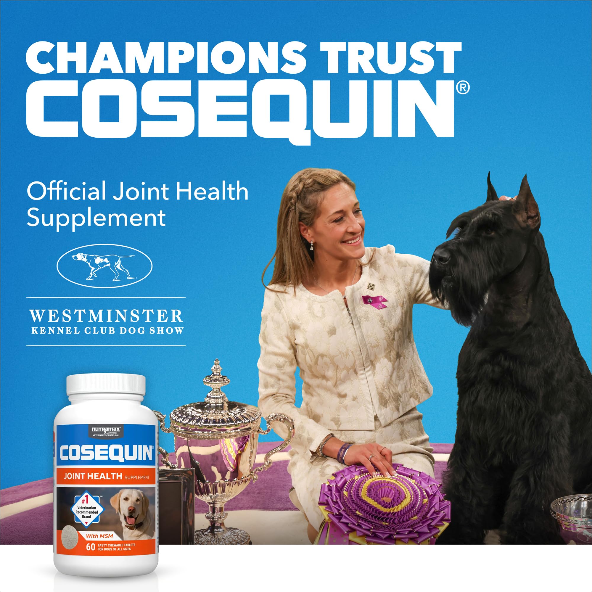 Nutramax Cosequin dog chews on plate for tasty, joint-supporting daily treat.