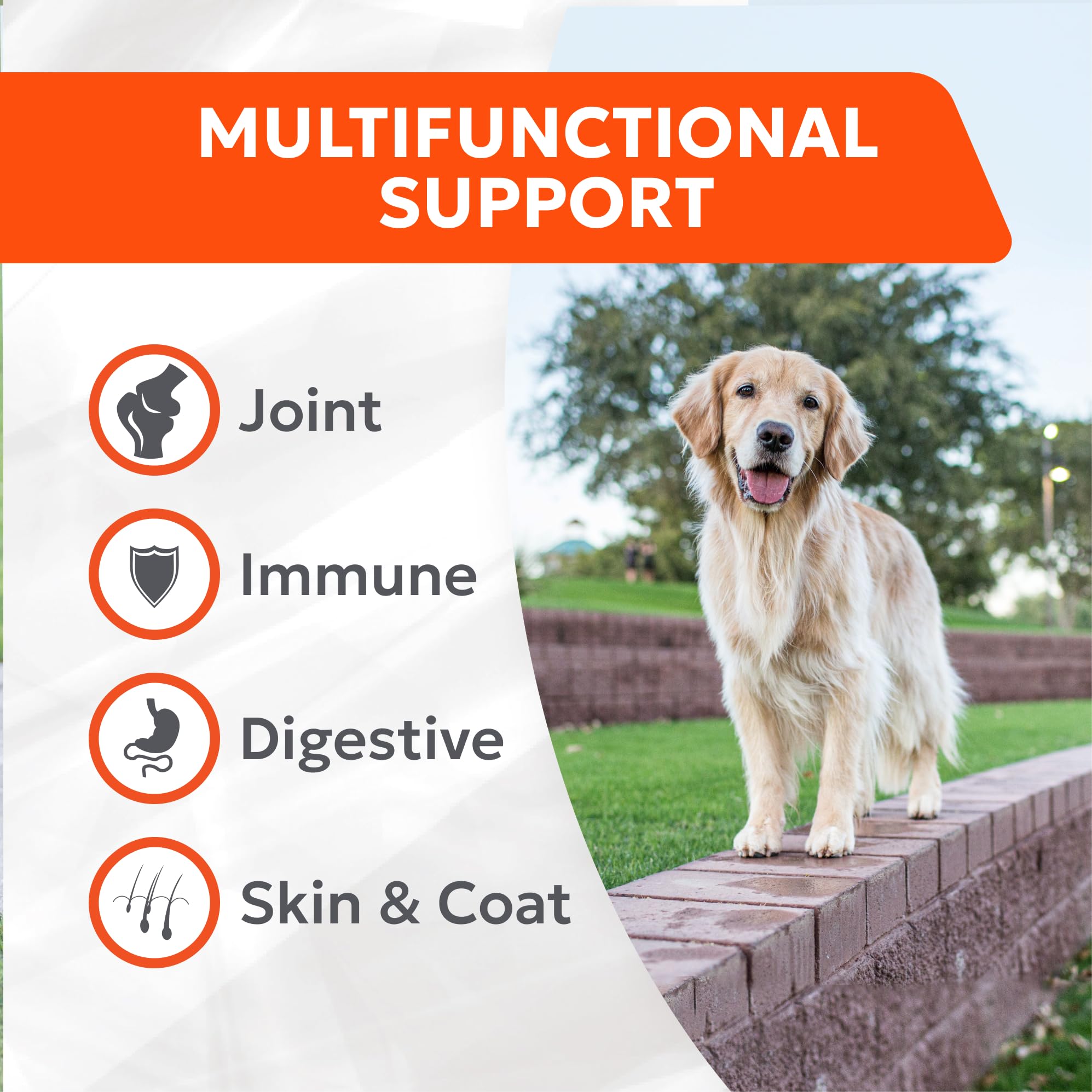 Happy dog enjoying a Nutramax Cosequin treat during daily routine.