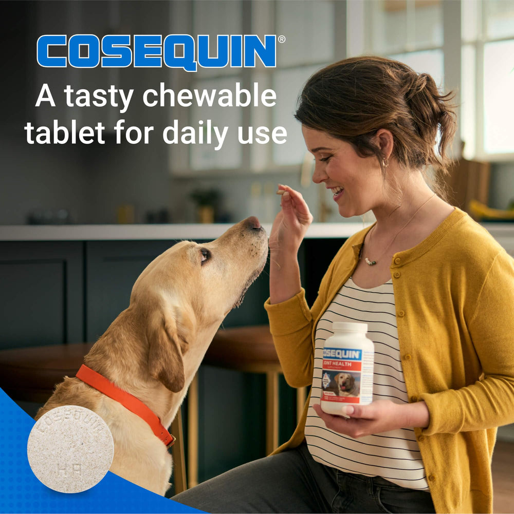 Cosequin with hyaluronic acid promotes smoother joint movement