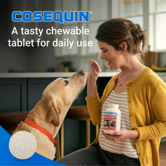 Cosequin with hyaluronic acid promotes smoother joint movement