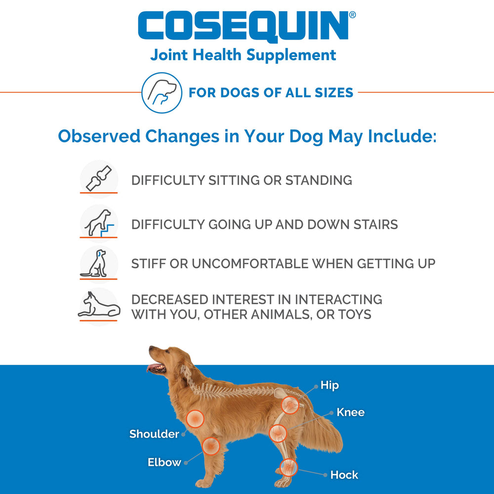 Nutramax Cosequin for Dogs packaging shows clear labeling and trusted joint health