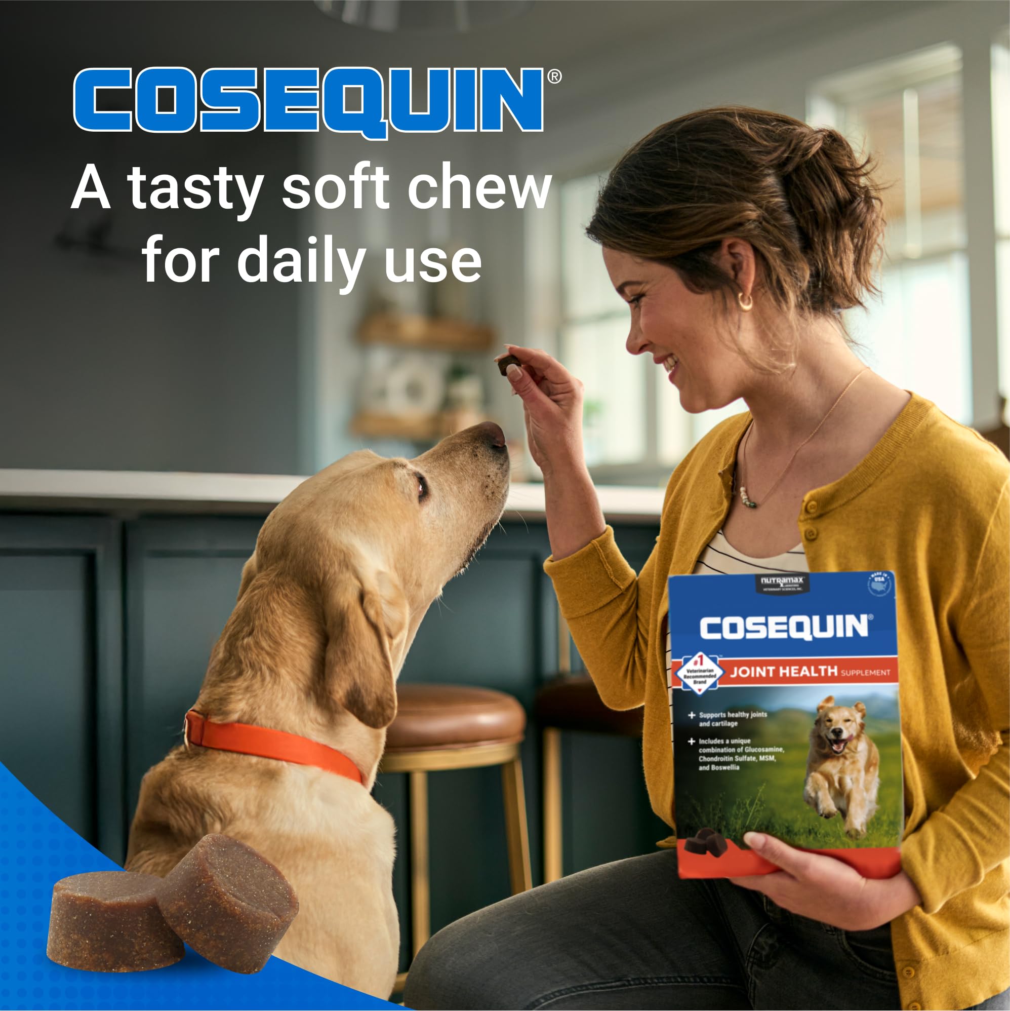 Dog running to illustrate potential mobility support from Nutramax Cosequin DS Plus MSM