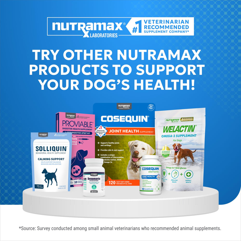 Nutramax Cosequin Elements product on a kitchen counter during pet care