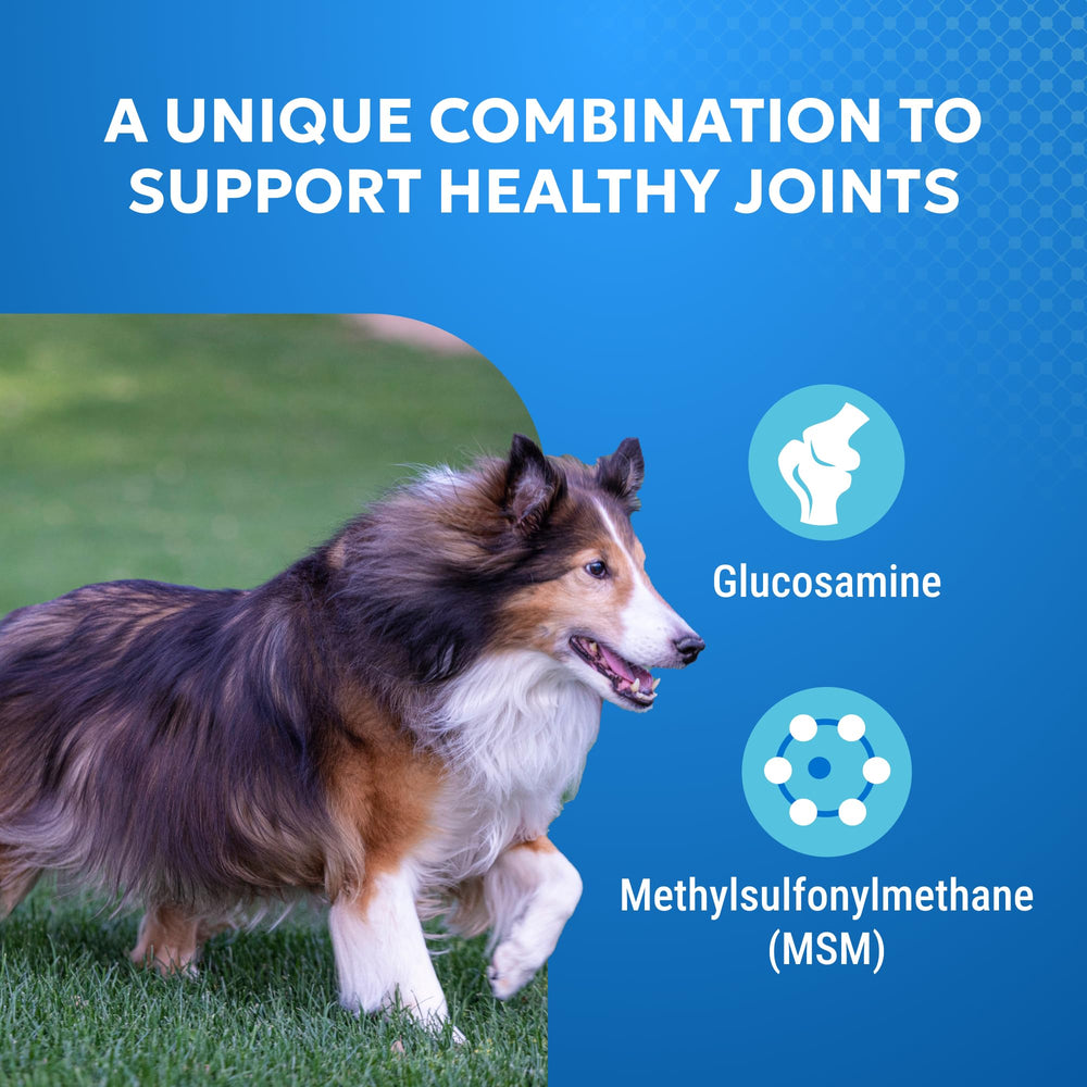 Nutramax Cosequin Elements packaging emphasizes vet-recommended joint health