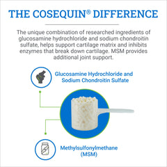 Nutramax Cosequin Optimized equine joint health in the field during riding.