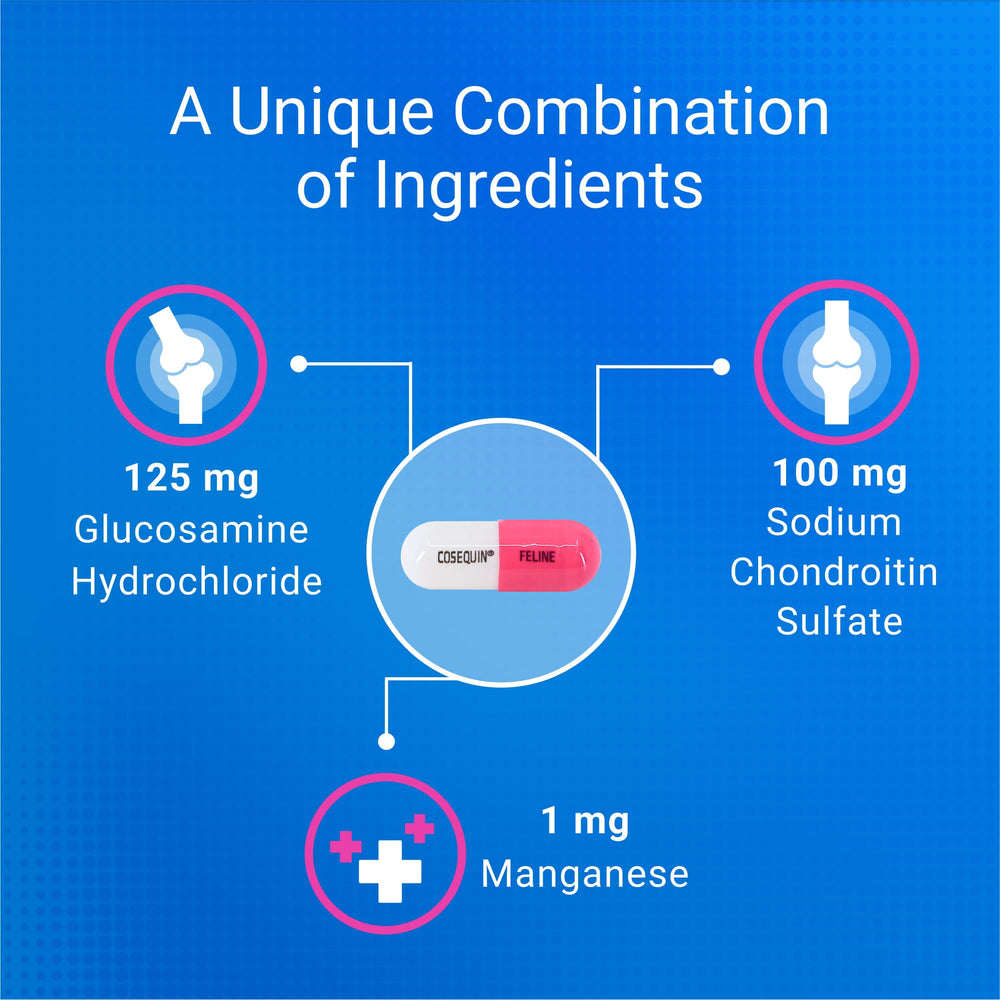 Nutramax Cosequin glucosamine chondroitin support for healthy joints.