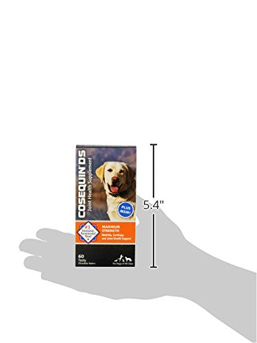 Nutramax Cosequin glucosamine dog joint support bottle displays core ingredients.