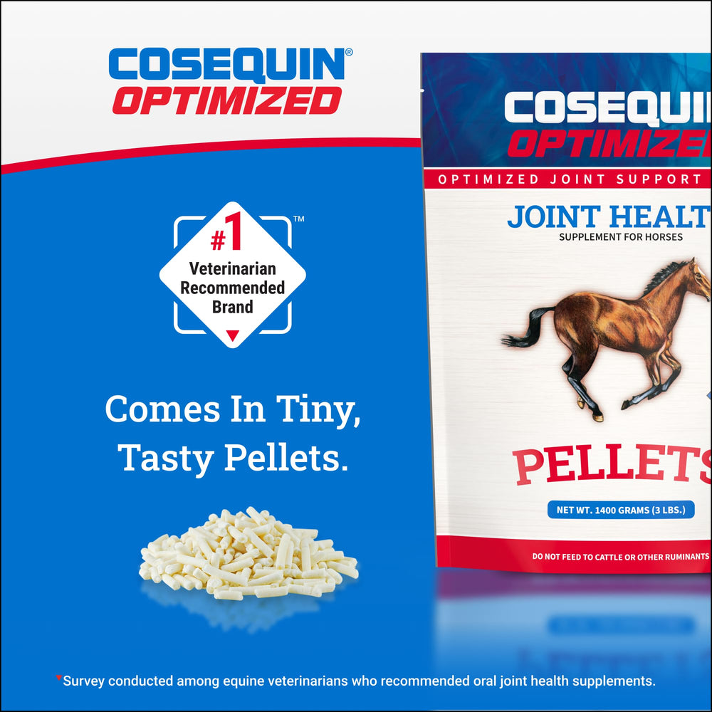 Nutramax Cosequin joint health for horses in barn setting.