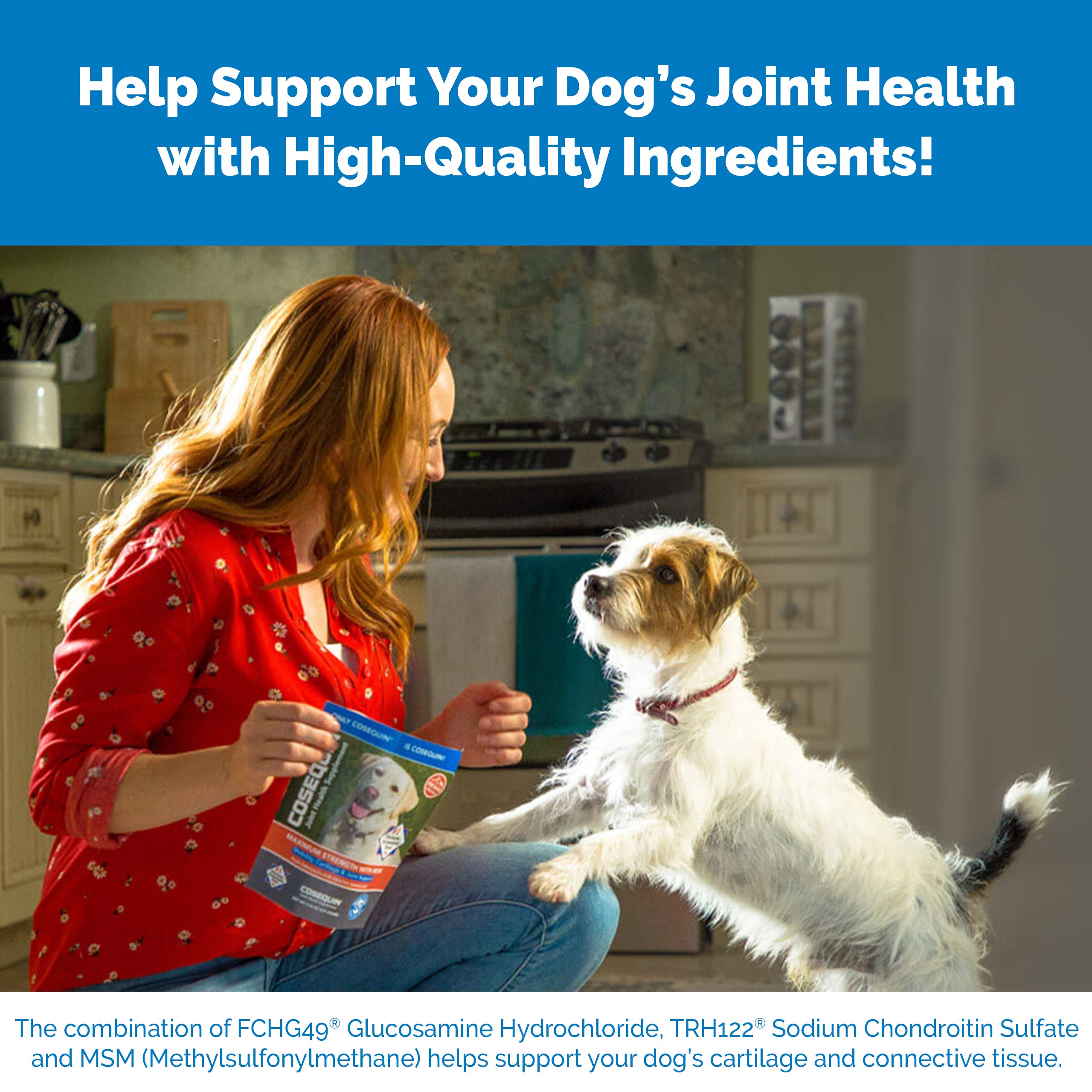Nutramax Cosequin joint health graphic illustrating mobility support