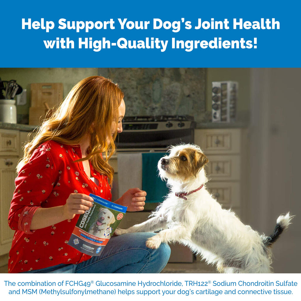 Nutramax Cosequin joint health graphic illustrating mobility support