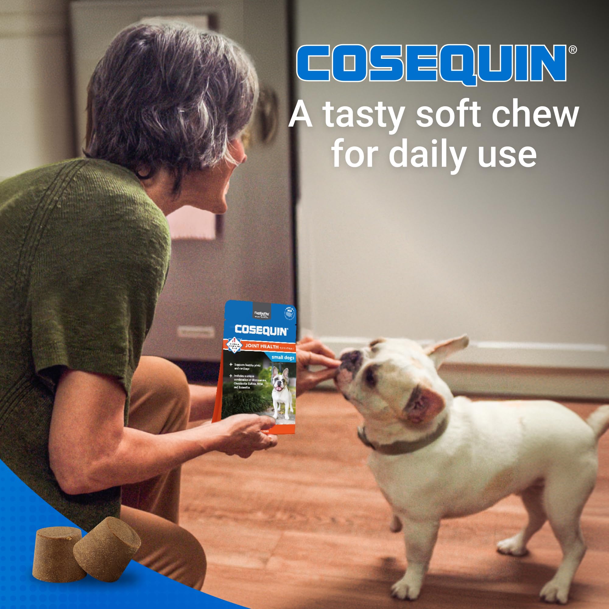 Small dog enjoys a tasty Cosequin Minis chew daily.