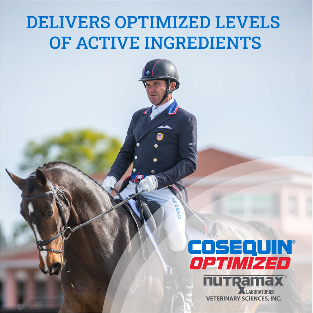 Nutramax Cosequin label close-up on bag highlighting MSM and glucosamine.