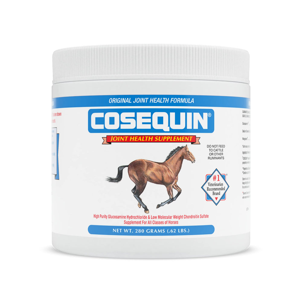Nutramax Cosequin Original horse powder bottle for daily joint support.