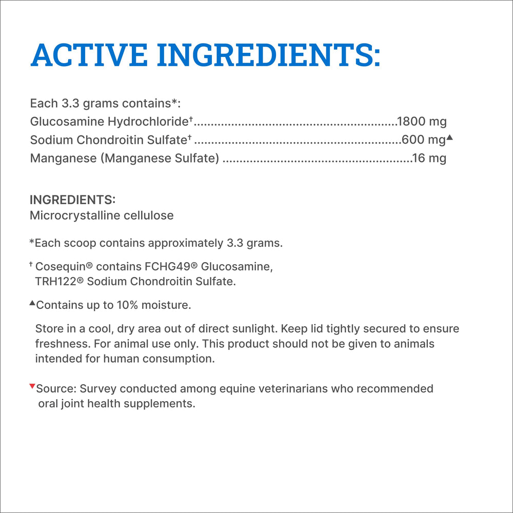 Front label close-up of Nutramax Cosequin Original joint health supplement