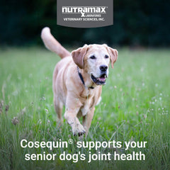 Nutramax Cosequin packaging front highlighting joint health
