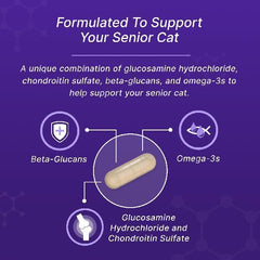 Nutramax Cosequin bottle highlights omega-3 for skin and coat health