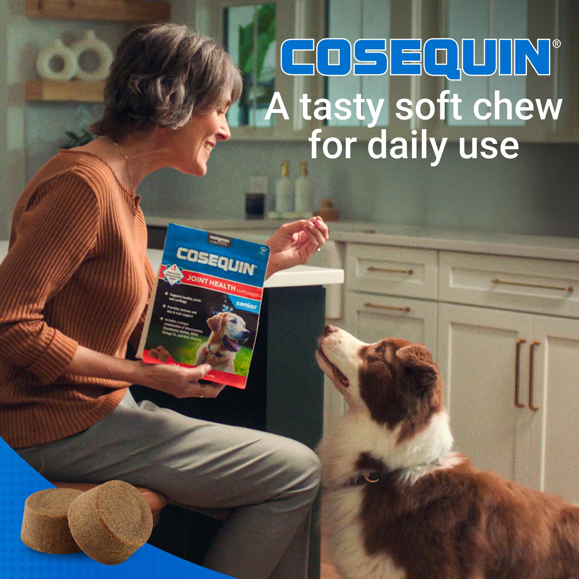 Senior dog outdoors with Cosequin for mobility