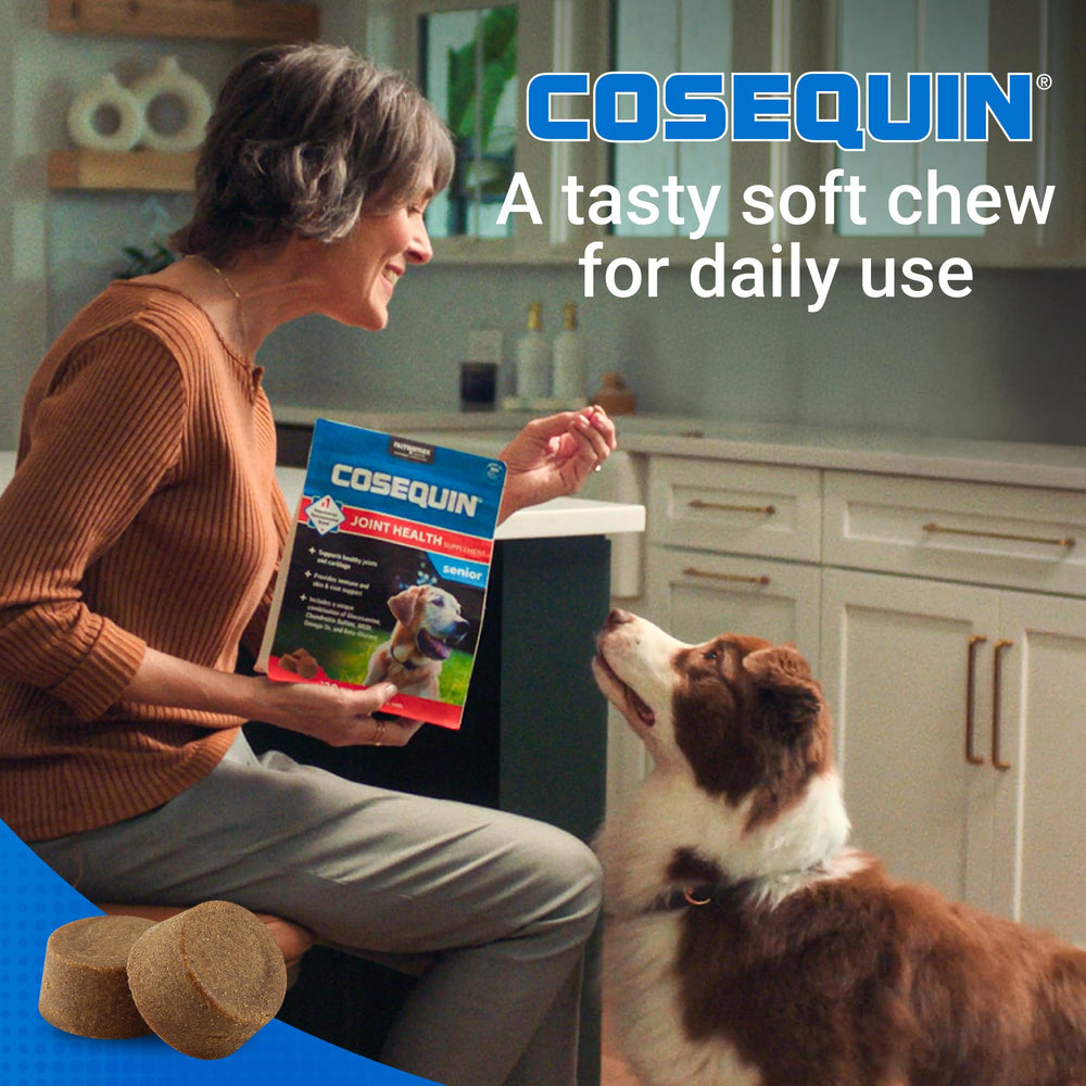 Senior dog outdoors with Cosequin for mobility