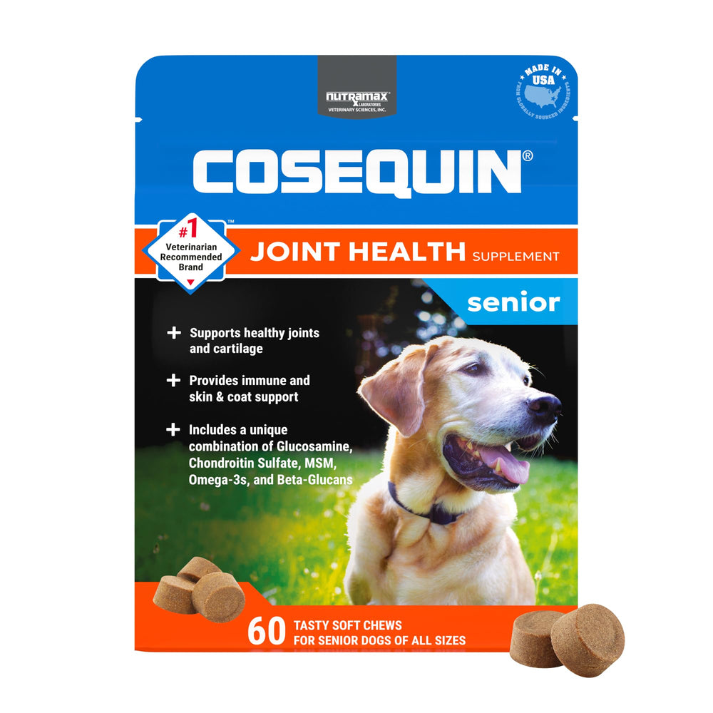 Nutramax Cosequin senior dogs soft chews in bottle for daily joint support