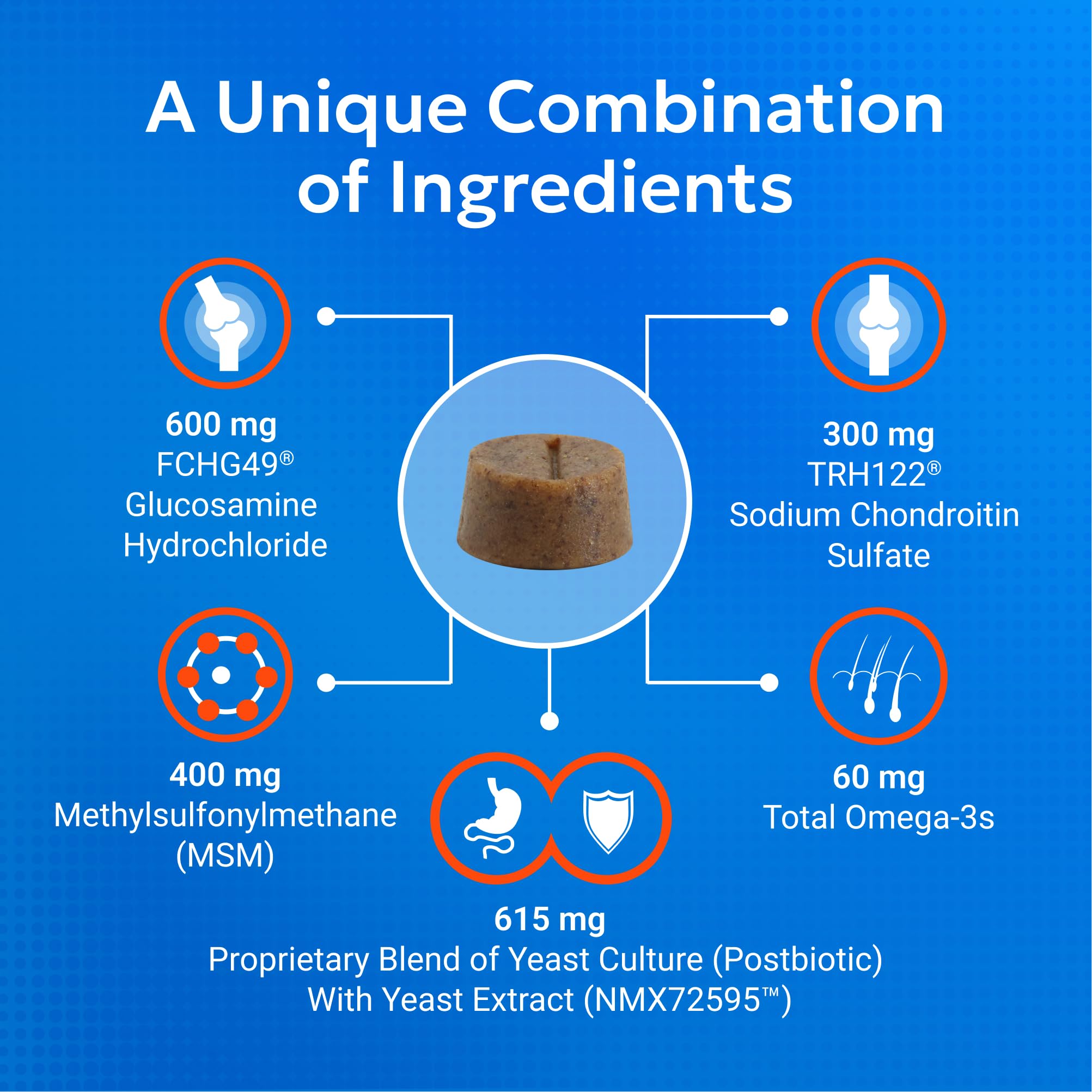 Omega-3 rich Nutramax Cosequin helps promote a healthy coat.