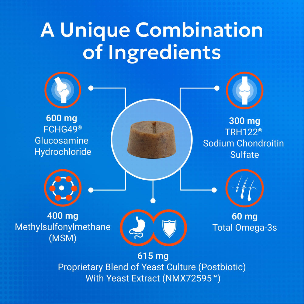 Omega-3 rich Nutramax Cosequin helps promote a healthy coat.