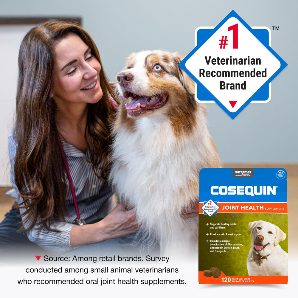 Nutramax Cosequin soft chews closeup showing chewy texture for daily use.