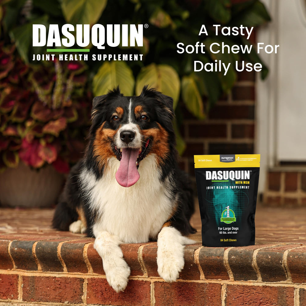 Nutramax Dasuquin ASU MSM Boswellia green tea blend for joint care.
