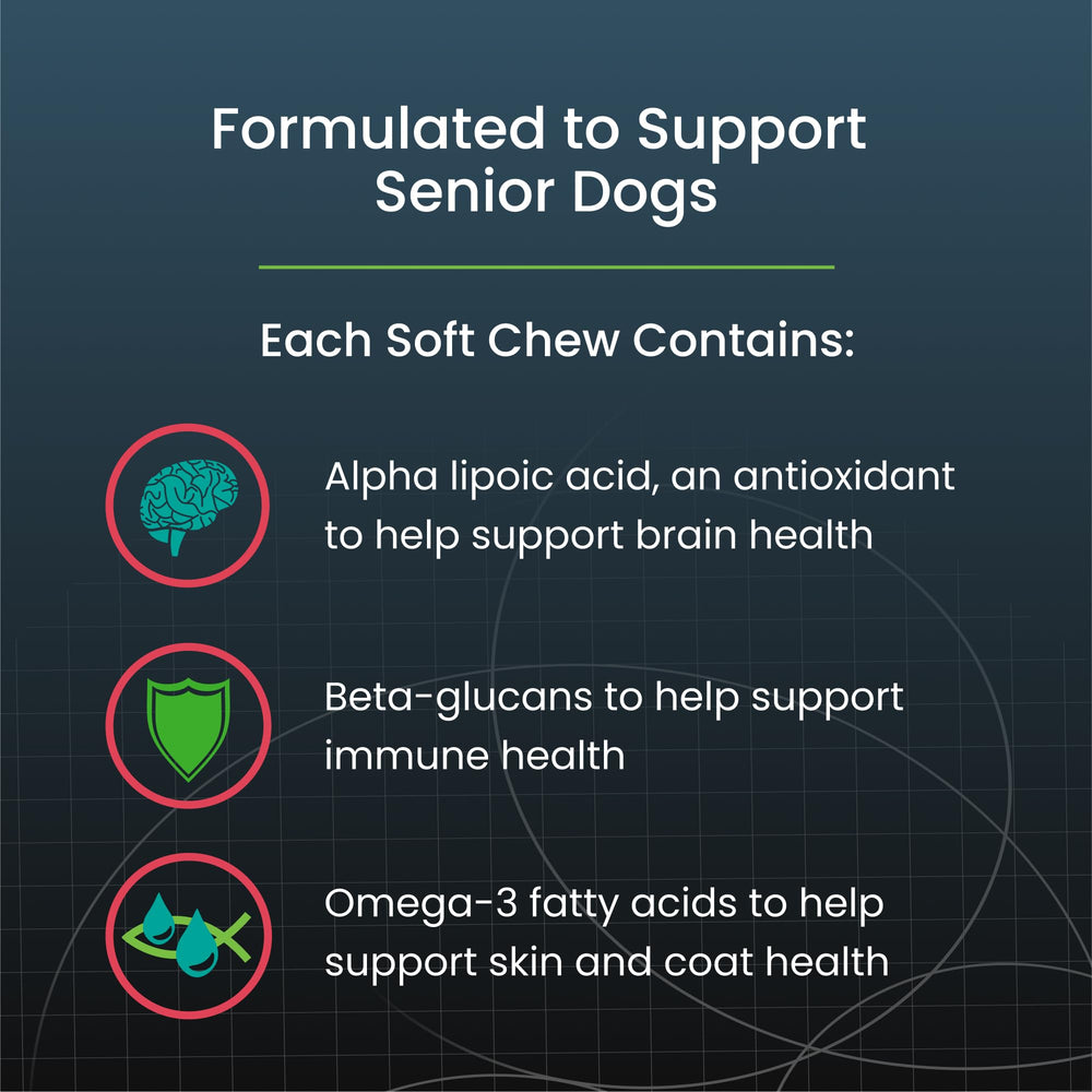 Nutramax Dasuquin bottle display emphasizing joint health for dogs