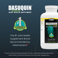 Nutramax Dasuquin chewable tablets close-up highlighting texture for easy dosing