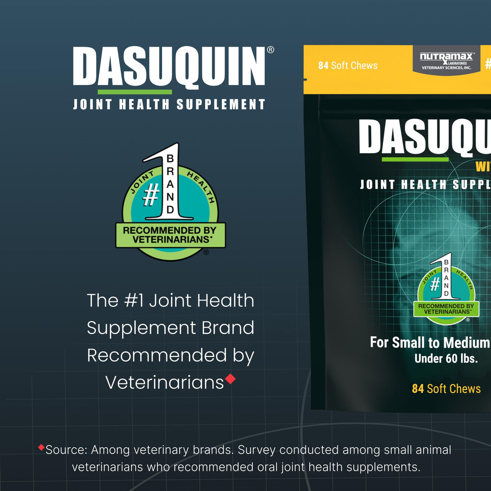 Nutramax Dasuquin dog chew close-up for daily joint support.