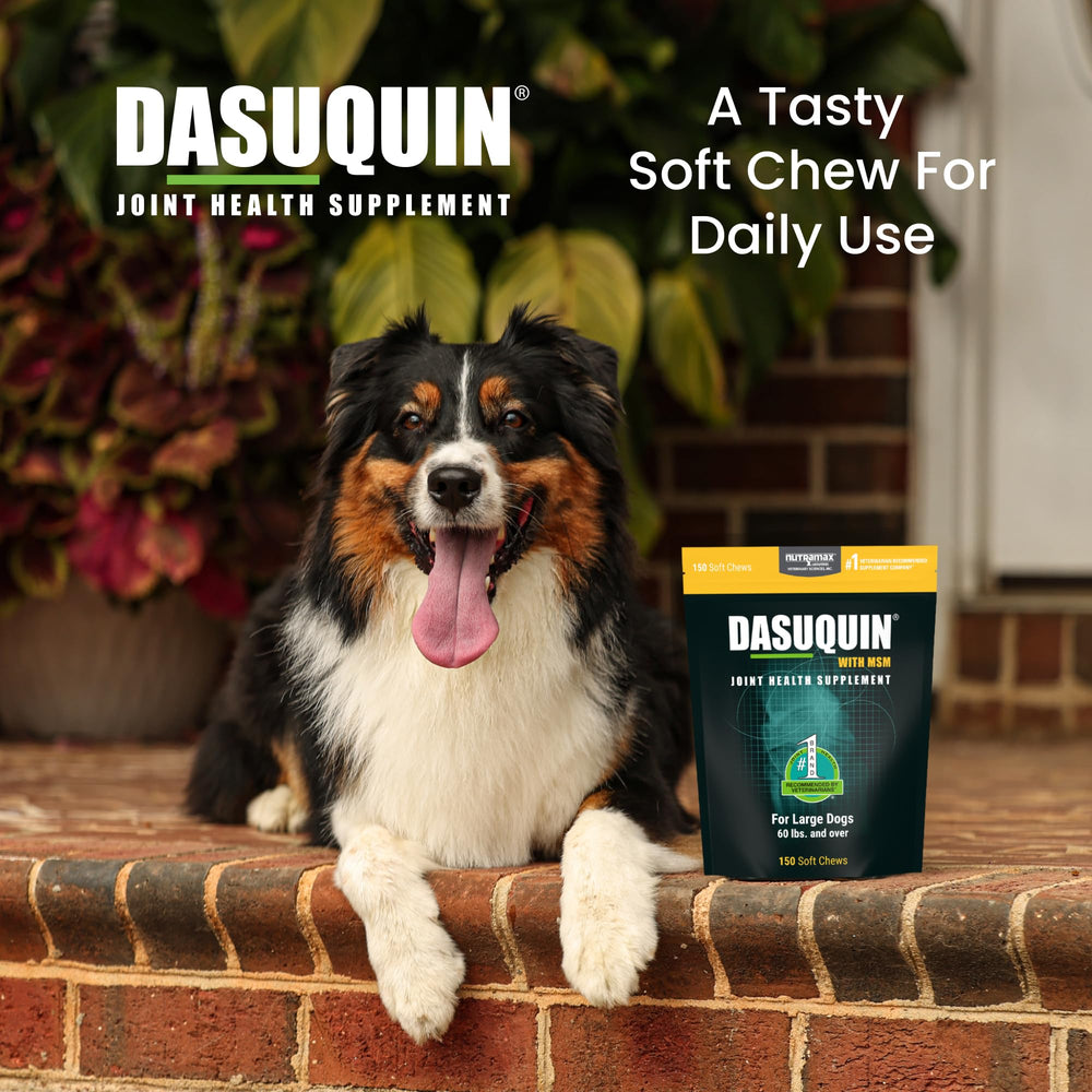 Nutramax Dasuquin glucosamine ingredient close-up for joint support