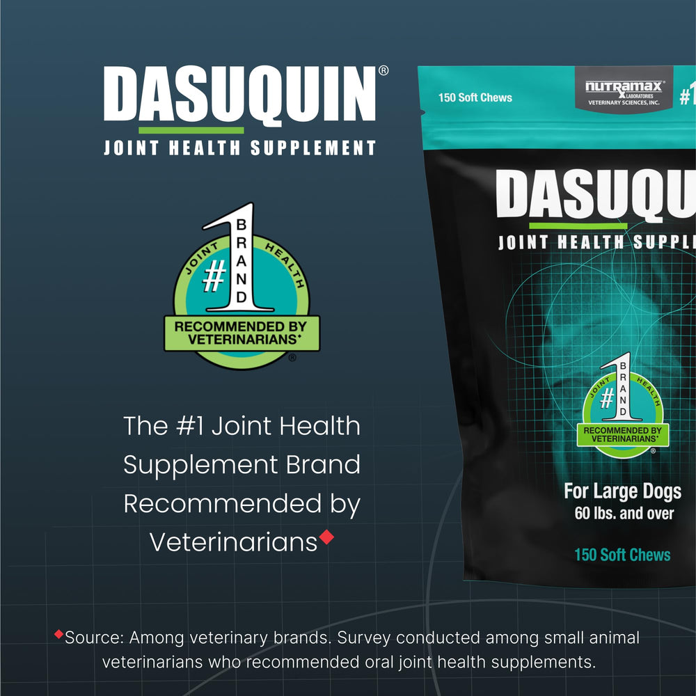 Dasuquin glucosamine component shown to support joint comfort in big dogs