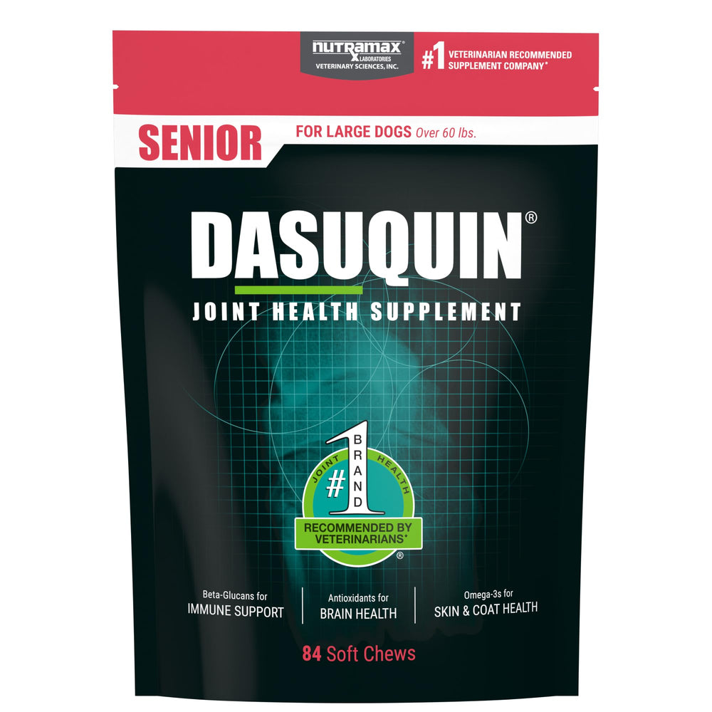 Nutramax Dasuquin packaging for large senior dogs highlighting joint support