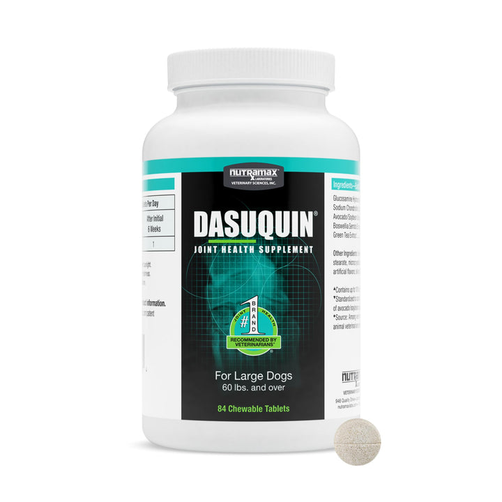 Nutramax Dasuquin for large dogs bottle showing joint health chews for daily support.