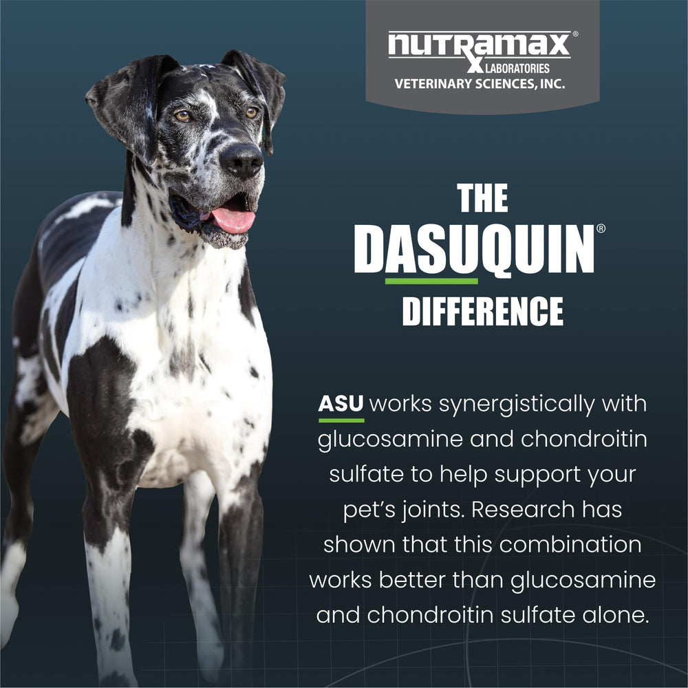 Dasuquin large dogs label shows glucosamine and chondroitin for pet joints.
