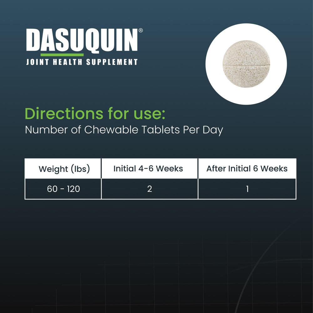 Nutramax Dasuquin large dogs in action supporting daily activity.
