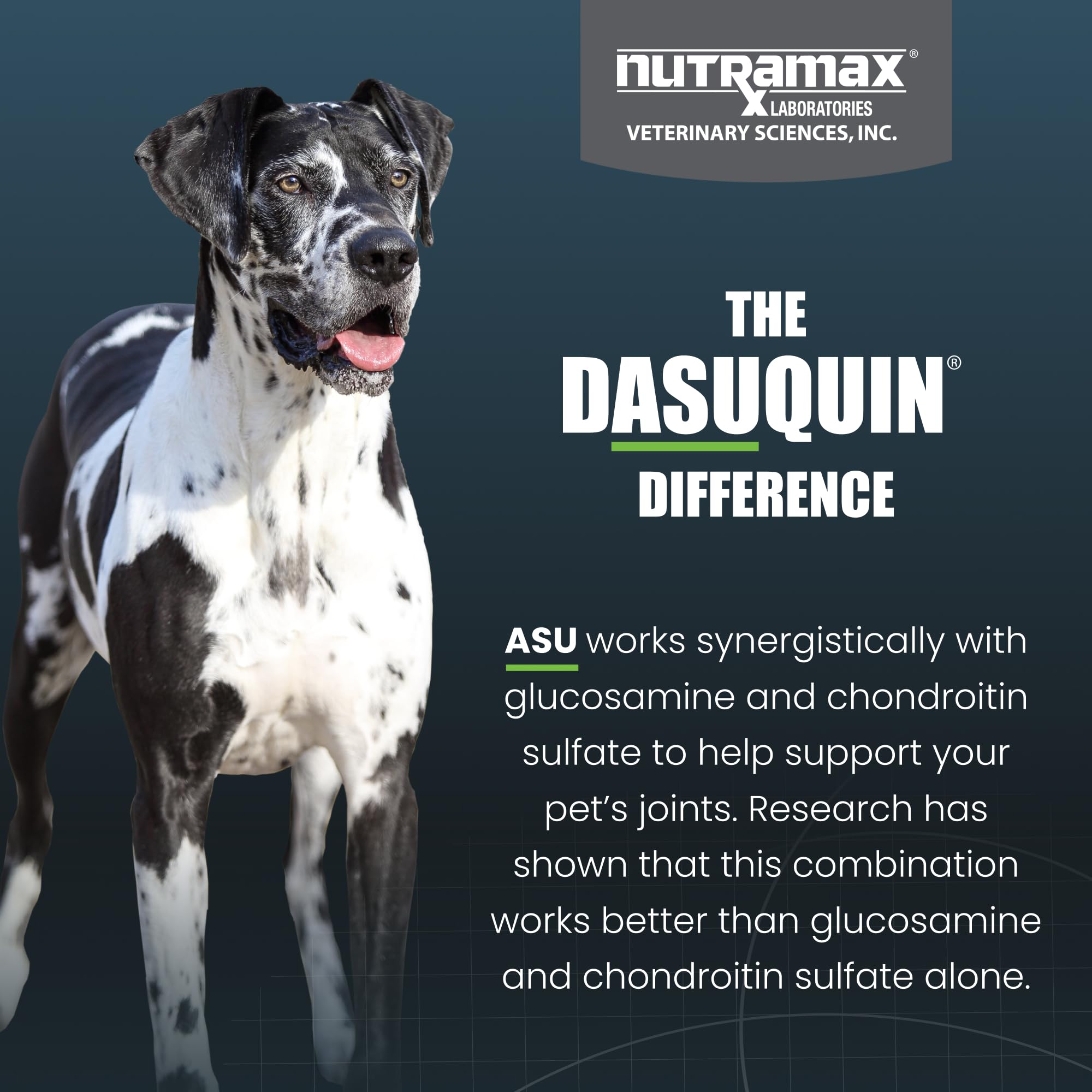 Nutramax Dasuquin large dogs ASU ingredient closeup