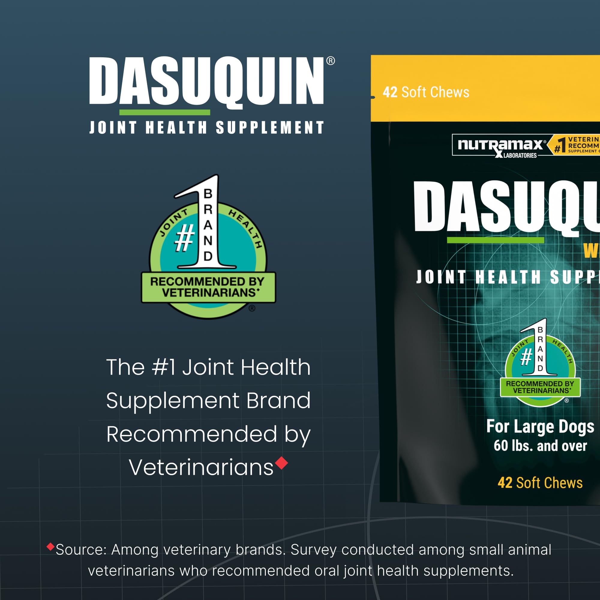 Nutramax Dasuquin large dogs label closeup with product details