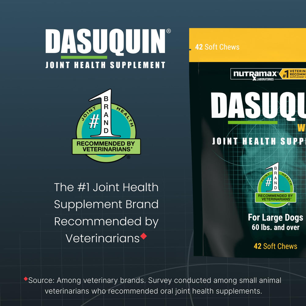 Nutramax Dasuquin large dogs label closeup with product details