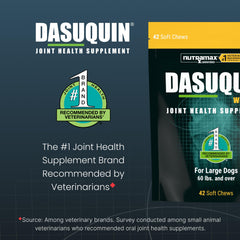 Nutramax Dasuquin large dogs label closeup with product details